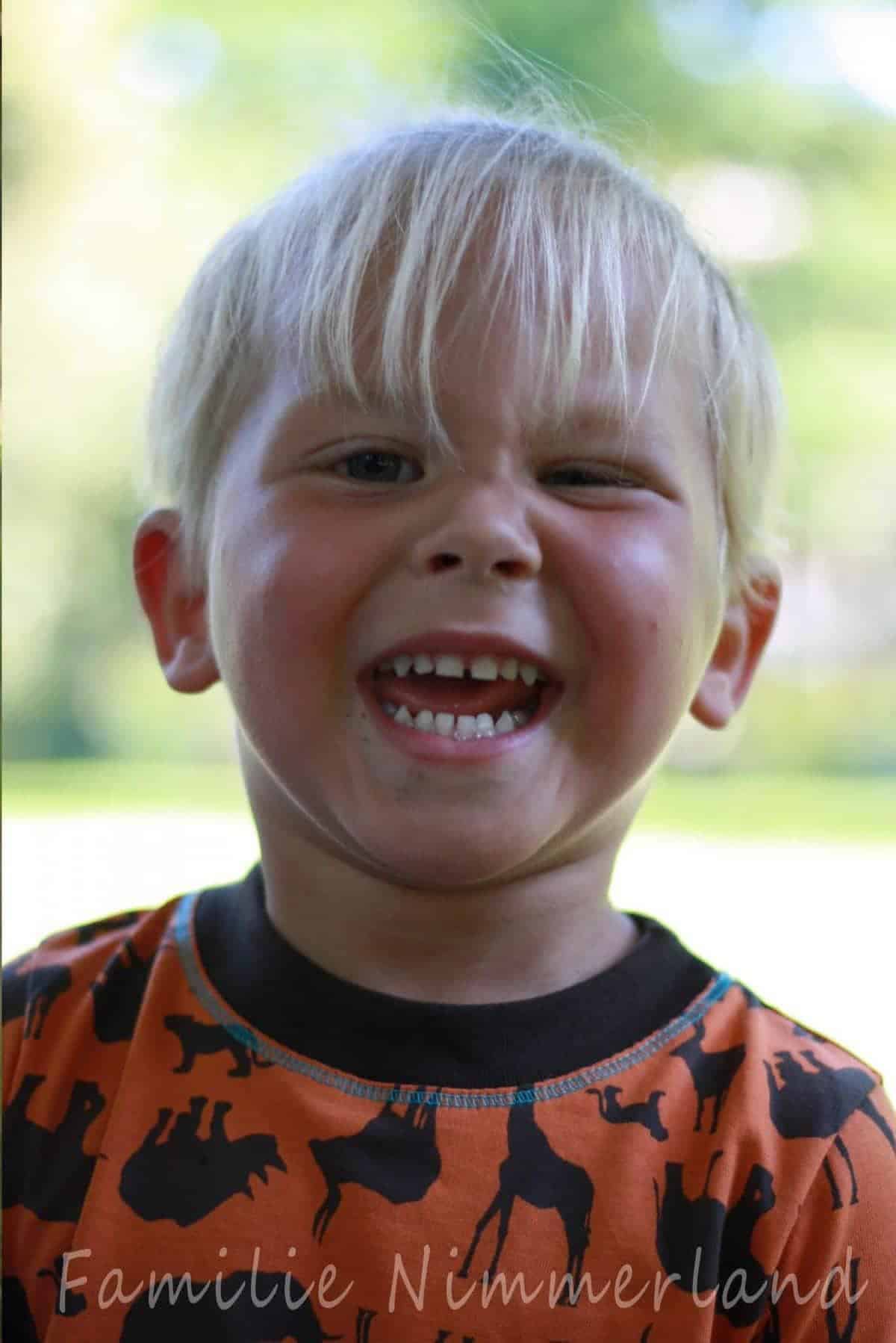 leevi