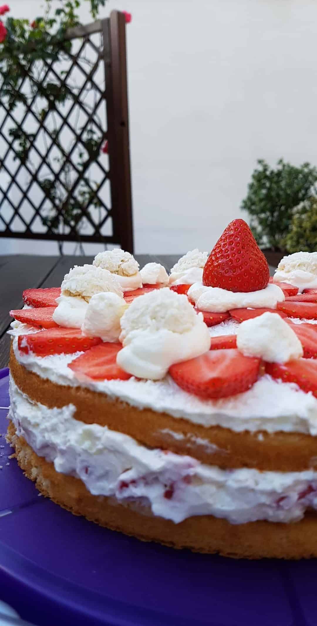 Erdbeer-Raffaelo-Traum >> Eine sommerliche Raffaelo-Torte