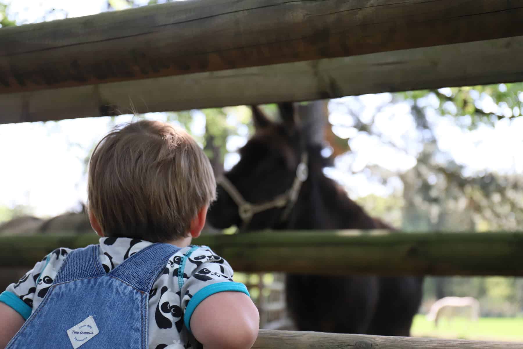 Ausgeflogen: Lindenthaler Tierpark