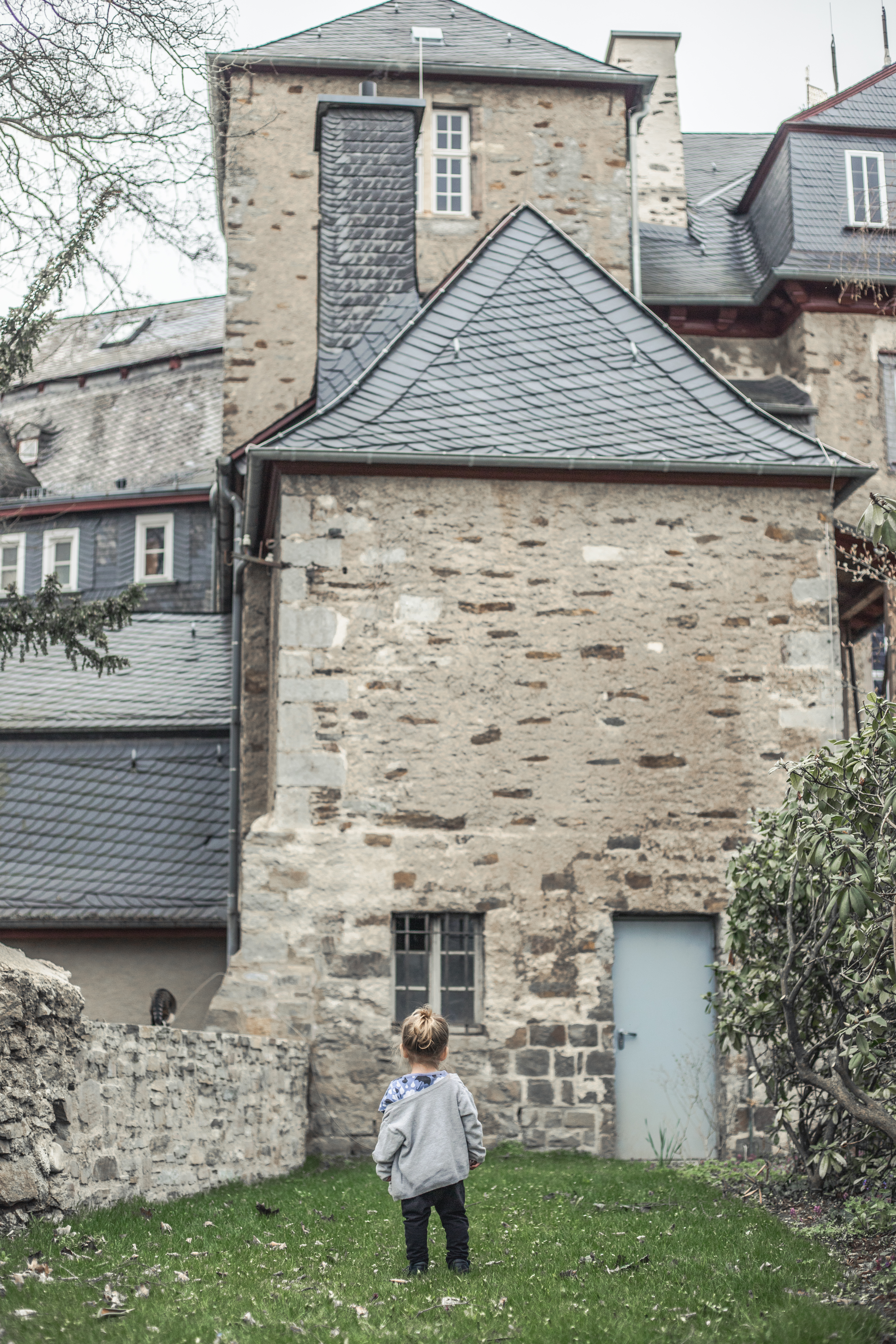 ausflugsziel-nrw-das-siegener-schloss