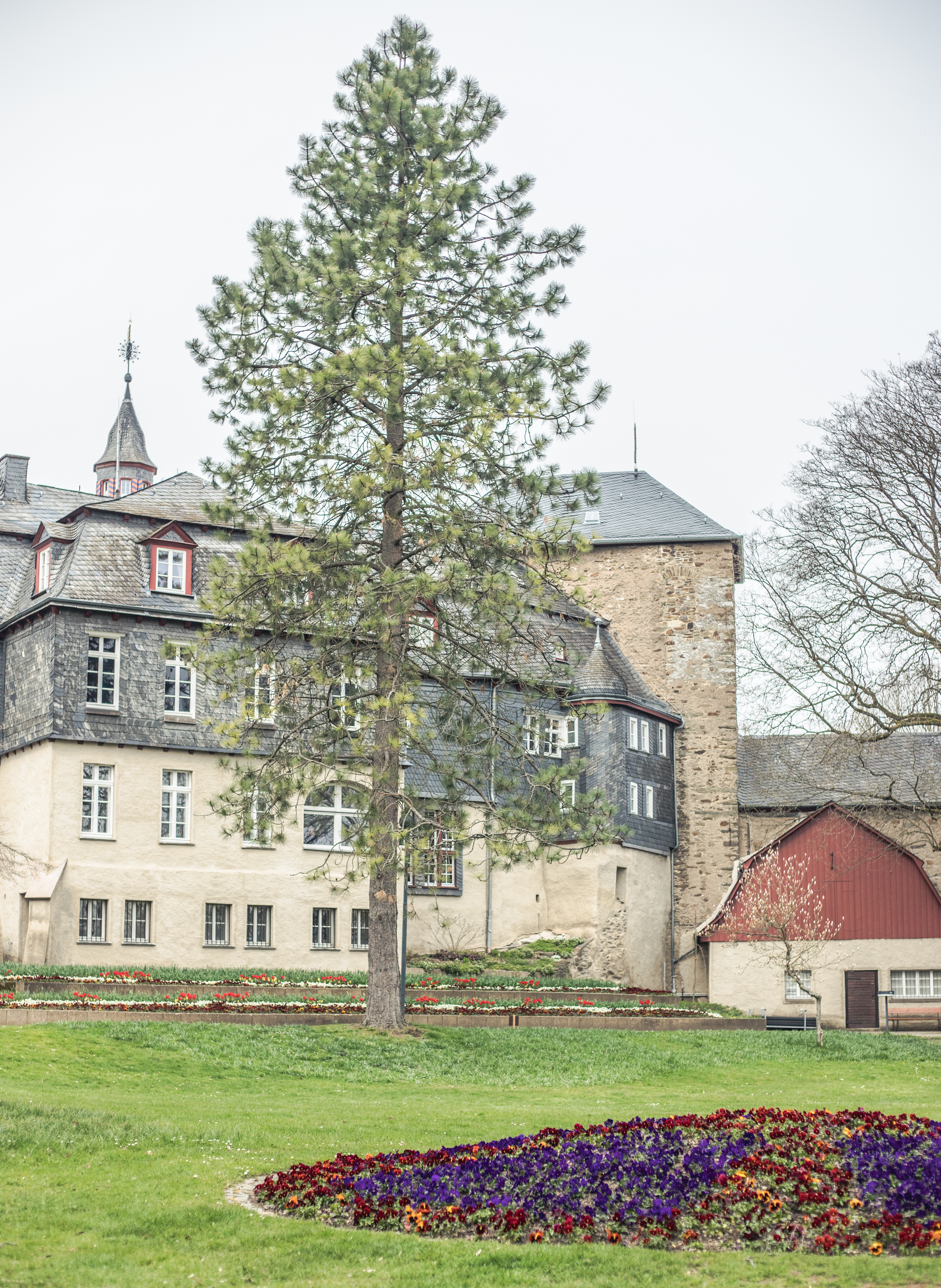 ausflugsziel-nrw-das-siegener-schloss