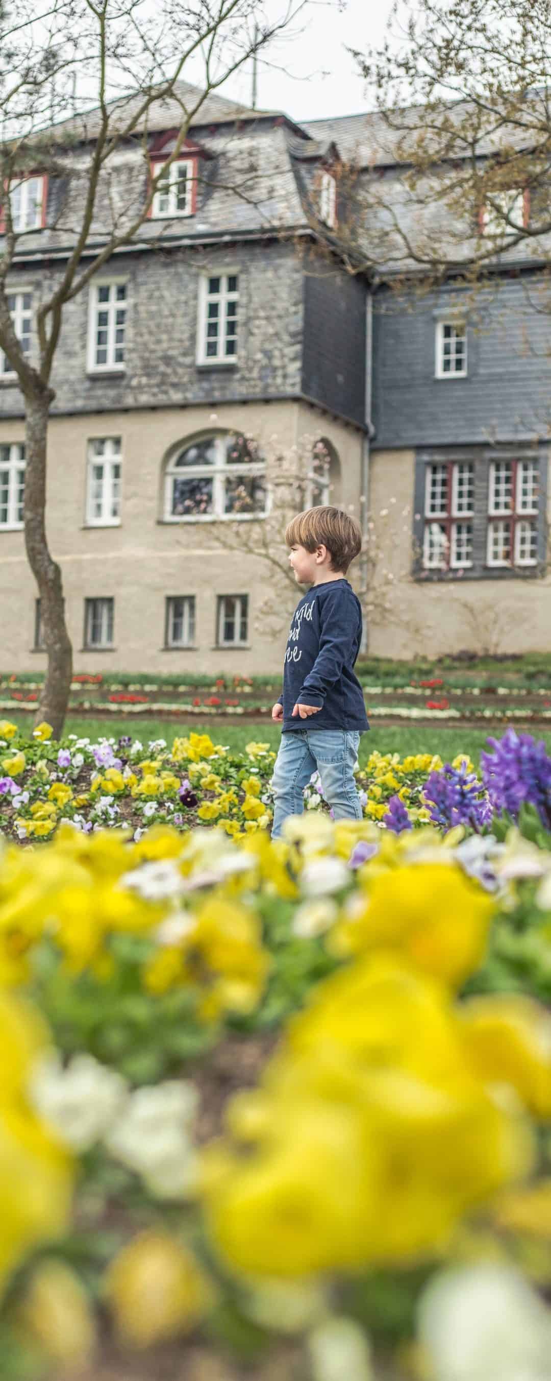 Ausflugsziel NRW – Das Siegener Schloss