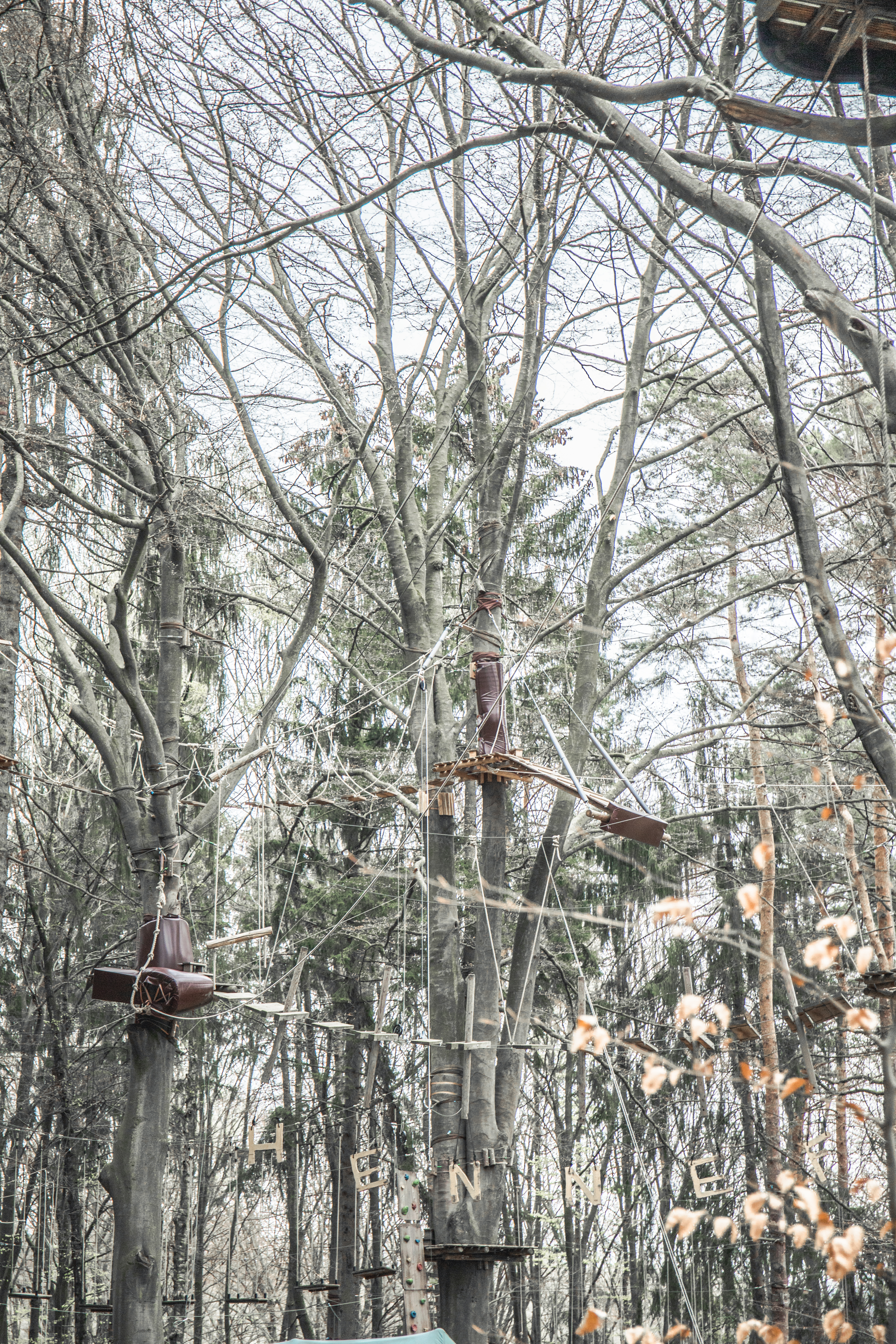 Ausflugsziel NRW - Kletterwald Hennef